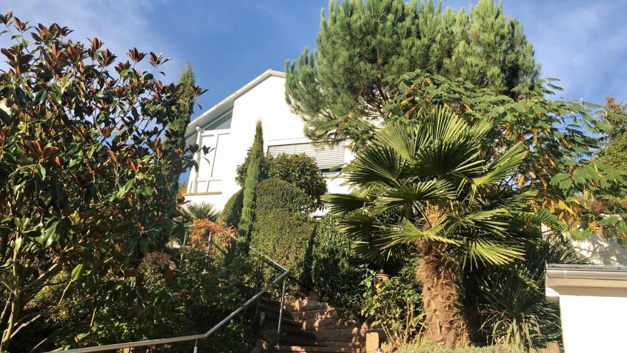 Ferienwohnung Palmenalm Bad Orb Ngoại thất bức ảnh
